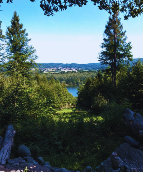 Kinzig-Stausee (1)